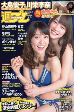 乡村爱情故事9